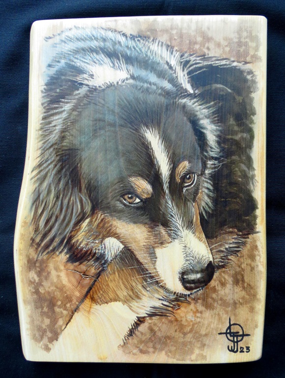 Berger Australien M 34x26b