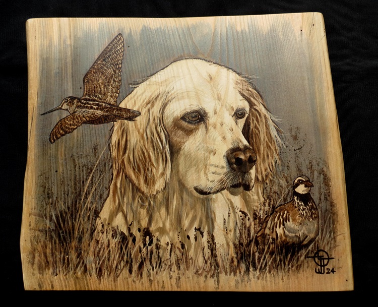 Chien , Perdreau et Becasse M36x42b