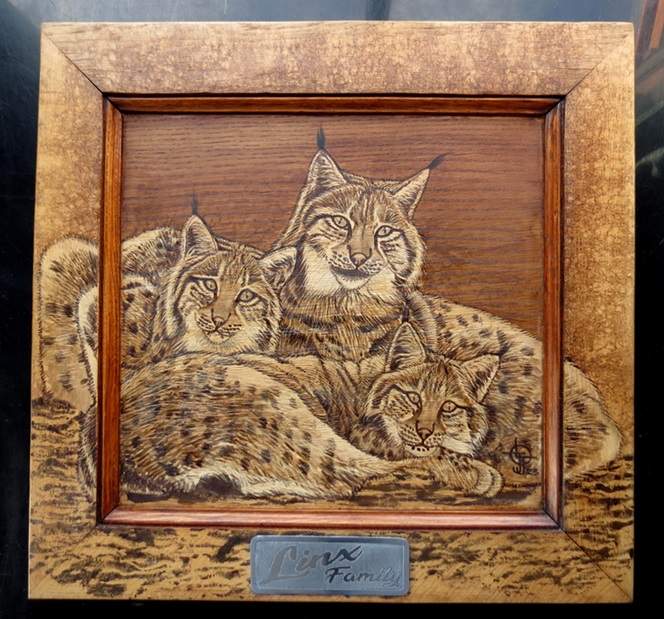 Linx Family Ch56x58b