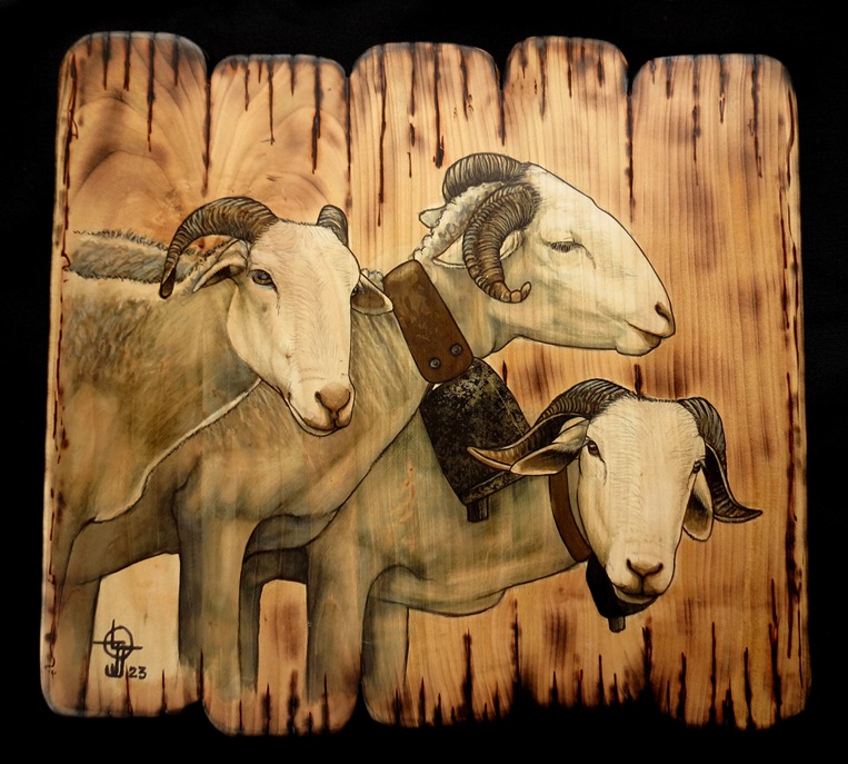 Trio Tarasconnaise M53x50b